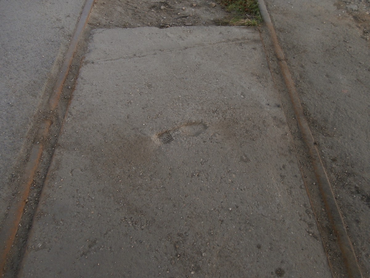 Hier hat sich jemand mit dem Fußabdruck verewigt.
Am alten Anschlussgleis in Grevenbroich an einem Bahnübergang fand ich diese Betonplatte mit Fußabdruck vor.
08.03.2014