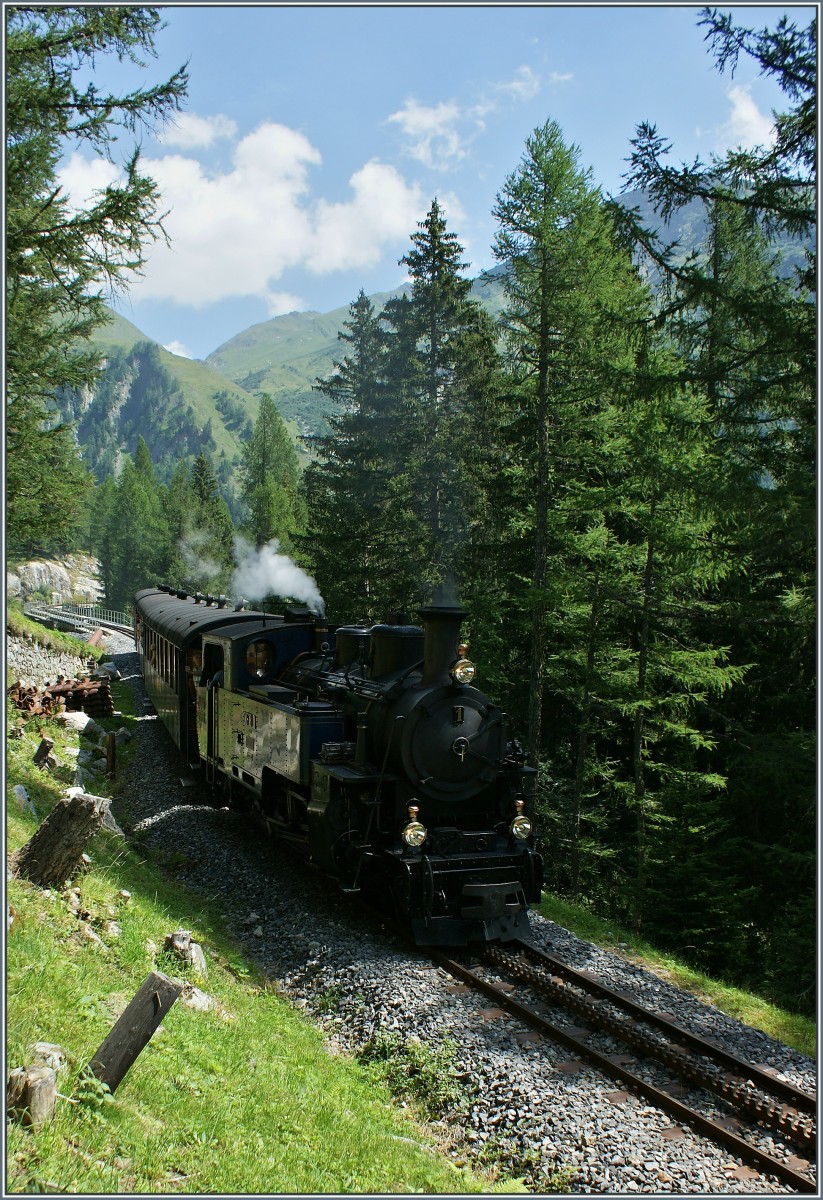 Hier die Hochformatvariante: Der Dampfzug 131 auf der Fahrt hinunter ins Tal nach Oberwald.
(05.08.2013)