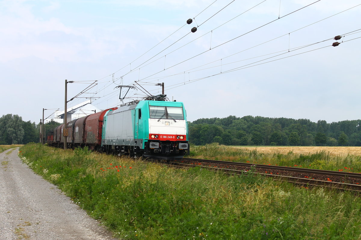 Hier kam VPS E186 249 mit einem gemischten Güterzug aus Seelze nach SZ-Beddingen durch Wierthe.