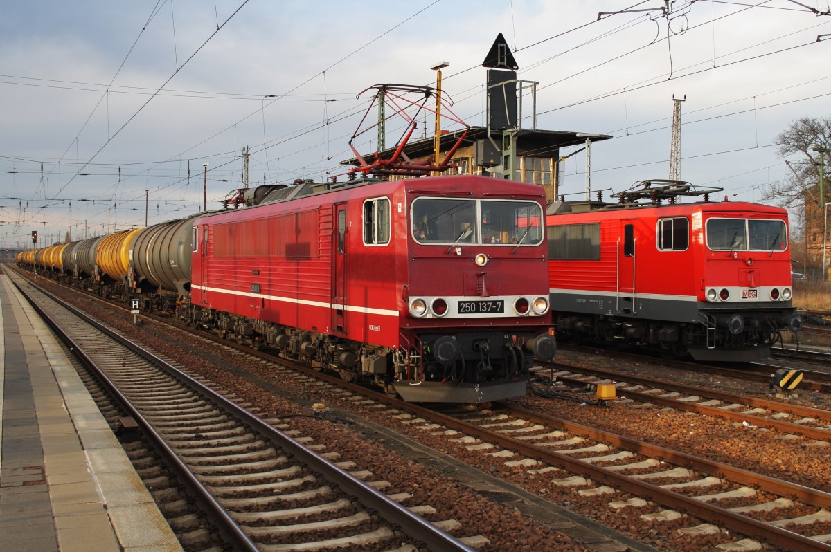 Hier links 250 137-7 mit einem Kesselwagenzug und rechts 155 179-5, diese beiden Züge standen am 7.2.2014 in Angermünde.
