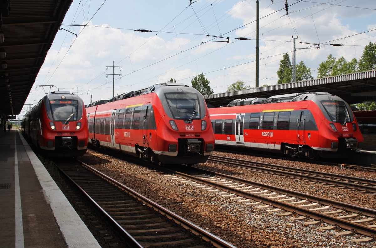 Hier links 442 836-3 als RE7 (RE18719)  Airport-Express  von Berlin Schönefeld Flughafen nach Dessau Hbf. in der Mitte 442 331-5 als RE7 (RE18721)  Airport-Express  von Berlin Schönefeld Flughafen nach Dessau Hbf. und rechts 442 130-1 als RB22 (RB92818)  Airport-Express  von Wustermark nach Berlin Schönefeld Flughafen, diese drei Hamster standen am 22.7.2014 in Berlin Schönefeld Flughafen. 