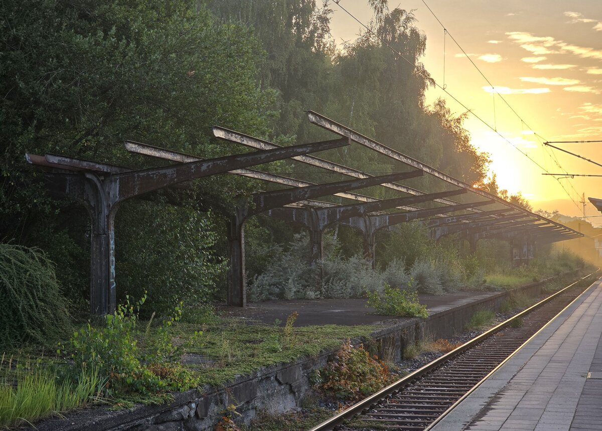Hier im Morgengrauen eines sch�nen Donnerstag Morgen ist zu sehen der verlassene Bahnsteig mit �berdachung am Haltepunkt L�beck-Travem�nde Hafen. Fr�her ein Bahnhof mit drei Bahnsteiggleisen, zwei G�tergleisen, und zwei Durchfahrtsgleisen, heute nur noch ein Haltepunkt mit einem Gleis und verlassener und �berwucherter Infrastruktur. (Aufgenommen: 20.08.2026)