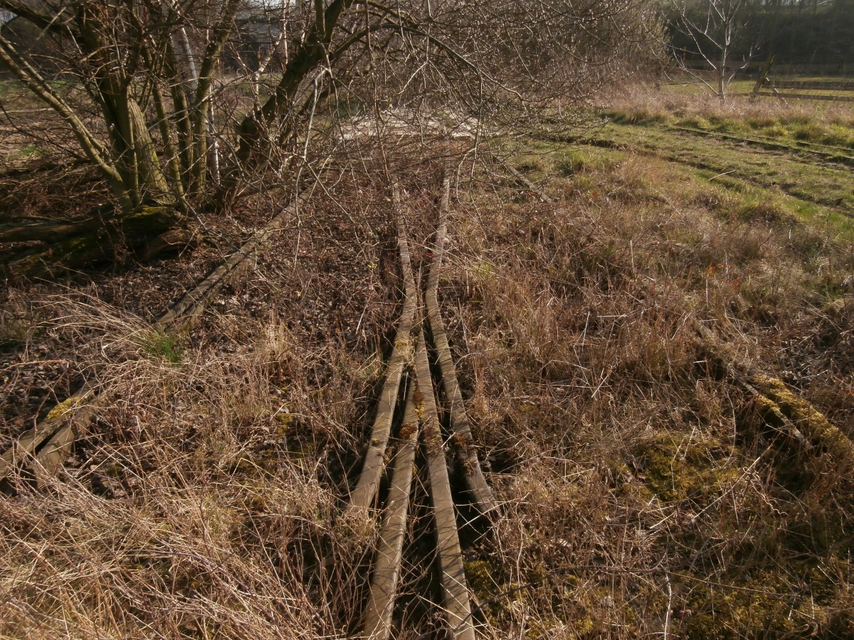 Hier noch eine gut erkennbare Weiche des Anschlussgleises nach Pfeifer & Langen Grevenbroich. Das Gleis geht kurz nach der Weiche aufs andere Anschlussgleis von der ehemaligen Maschinenfabrik Buckau zu und laufen zu einem Gleis zusammen.
Hier sind ebensfalls 2 Gleise. Eins davon um Wagen abzustellen.
Feldwege nahe Lindenstraße am Gewerbegebiet Ost grevenbroich am 08.03.2014