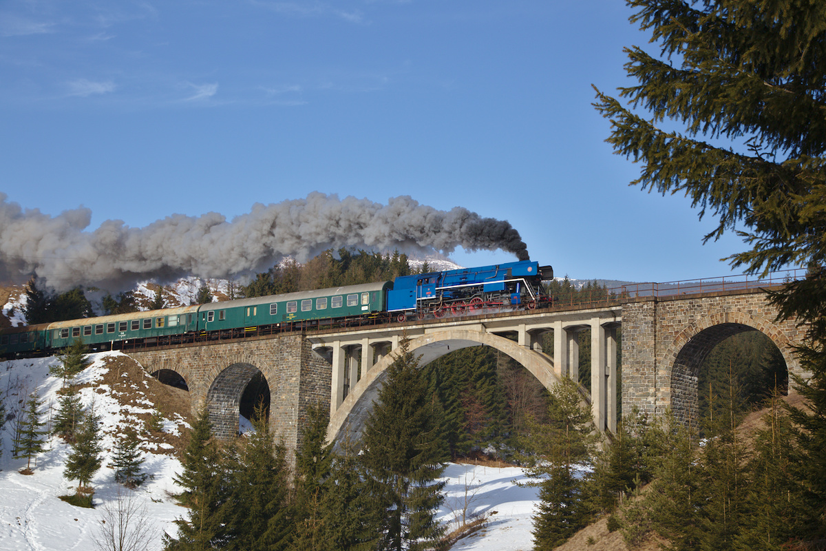 Hier Telgart-Viadukt bei Tag, der gerade von der 477.013 mit ihrem Zug überquert wird.  (17.02.2017)