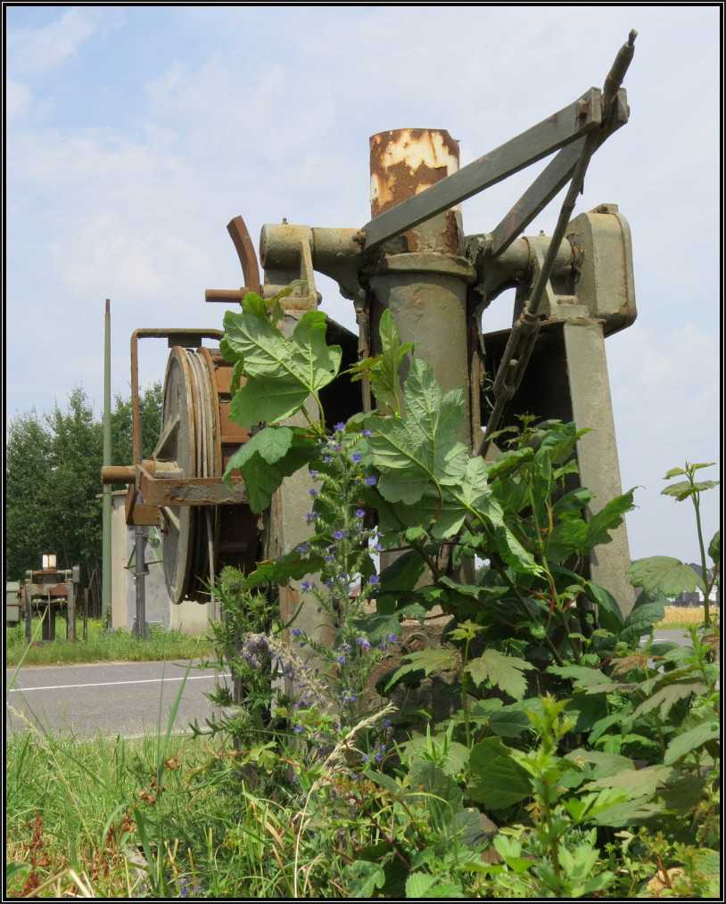 Hier wo Einst die Schranke für die Sicherheit sorgte steht heute noch dieser Zeitzeuge an der Bördebahn bei Bubenheim.Auch hier hat sich die Natur ihr Revier zurückerobert und gibt dem Motiv einen dezenten Kontrast. Momentaufnahme vom 05.Juli 2015.
