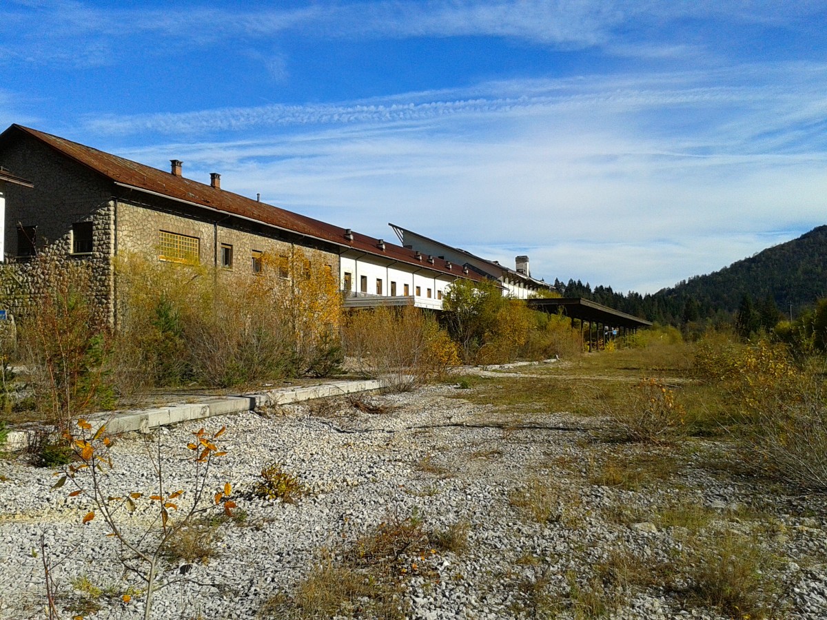 Hier zu sehen ist der ehemalige Bahnhof Tarvisio Centrale (Blick Richtung Villach). Nach inzwischen ca. 15 Jahren Stillstand hat sich die Natur den Bahnhof fast gänzlich zurück erobert. Einst zweigte in Tarvisio Centale auch eine Strecke ins slowenische Jesenice ab. Diese wurde in zwei Etappen stillgelegt. Als Erstes stellten die FS 1967 den Abschnitt Tarvisio - Fusine Laghi ein, da die Strecke Infolge der Einstellung auf italienischer Seite für die JŽ (Jugoslovenske Železnice) unwirtschaftlich wurde, stellten sie den Betrieb Jesenice - Ratece 1969 ein. Als letze verbleibende Strecke blieb dem Bahnhof nur noch die Pontebbana, diese er dann Mitte 2000 auch verlor.

Aufgenommen am 25.10.2015