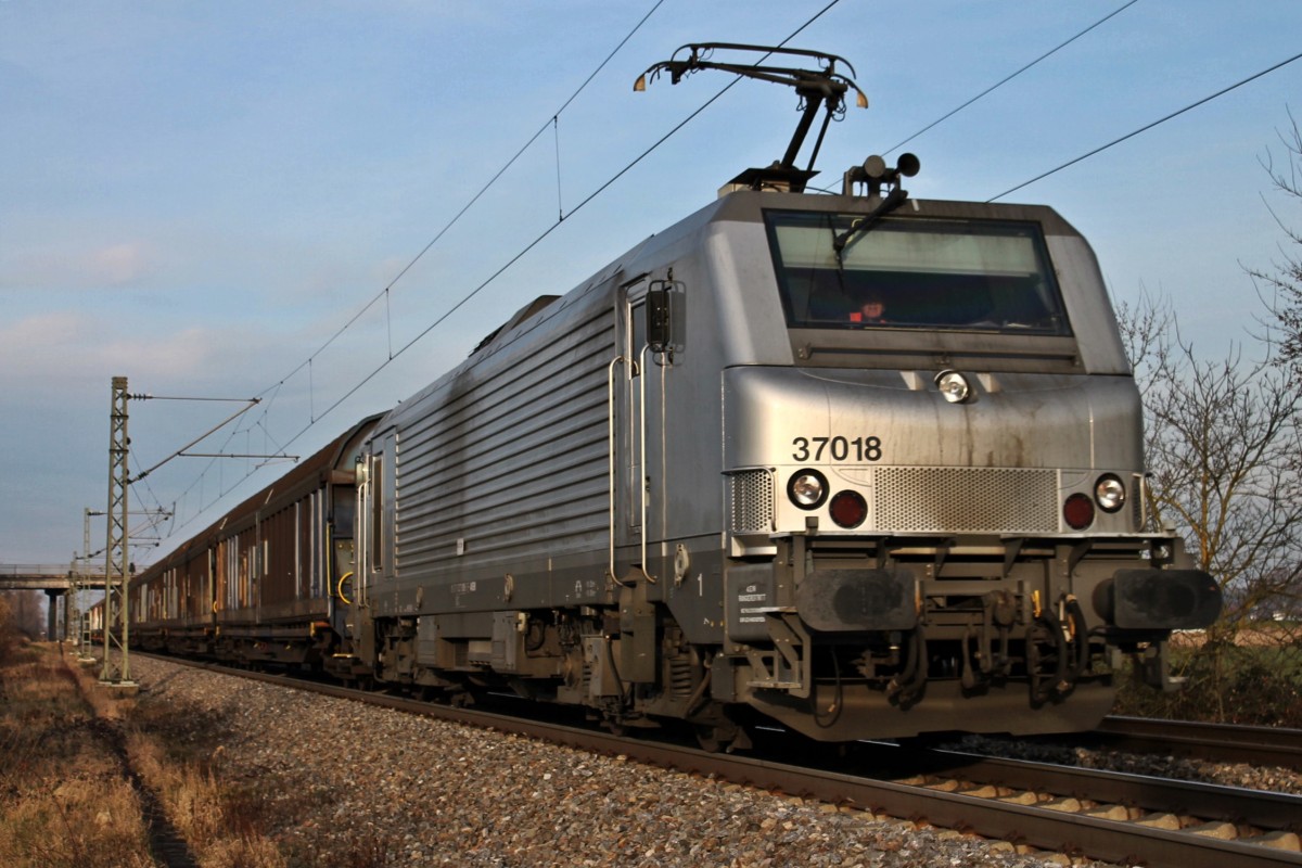 Highlight des Tages: Akiem 37018 (ex. SNCF Fretchen) mit einem unbekannten H-Wagenzug südlich Buggingen gen Süden. An welches EVU die 37018 derzeit vermietet ist, ist mir leider umbekannt. Sie fährt erst seit kurzem in ihrem silbernen Kleid durch die Lande, da sie anfang letzten Jahrens noch in Originaler Fretchen Lackierung gesichtet wurde.