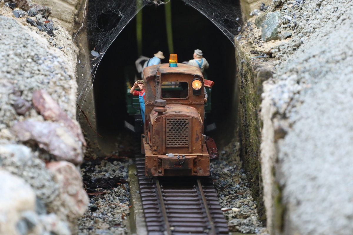 Highlight der Gartenbahn an diesem Nachmittag war die Feldbahnlok,..... 

30.06.2018
