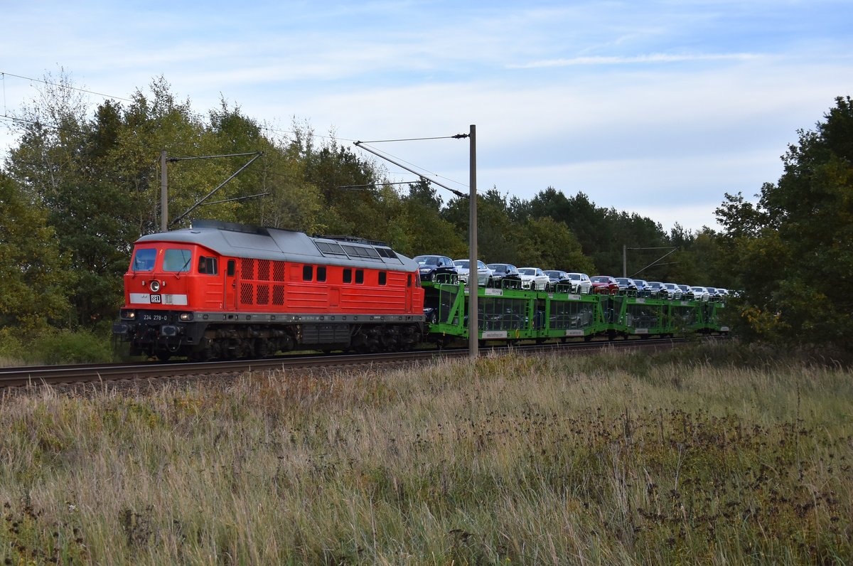 Highlight vom Tag war die EGP 234 278-0 mit einem Autozug, unterwegs in Richtung Hamburg. 3km östlich von Büchen, 08.10.2018.