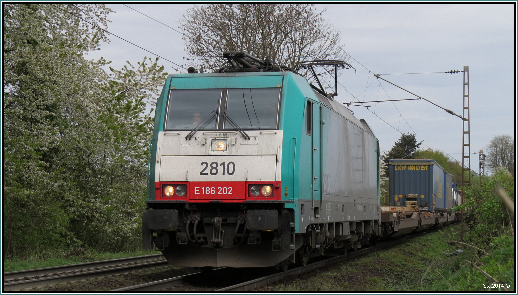 Hinauf nach Belgien,die 2810 (E-186) mit einen Aufliegerzug am Haken.Bildlich festgehalten am Gemmenicher Weg unweit von Aachen am 06.April 2014.