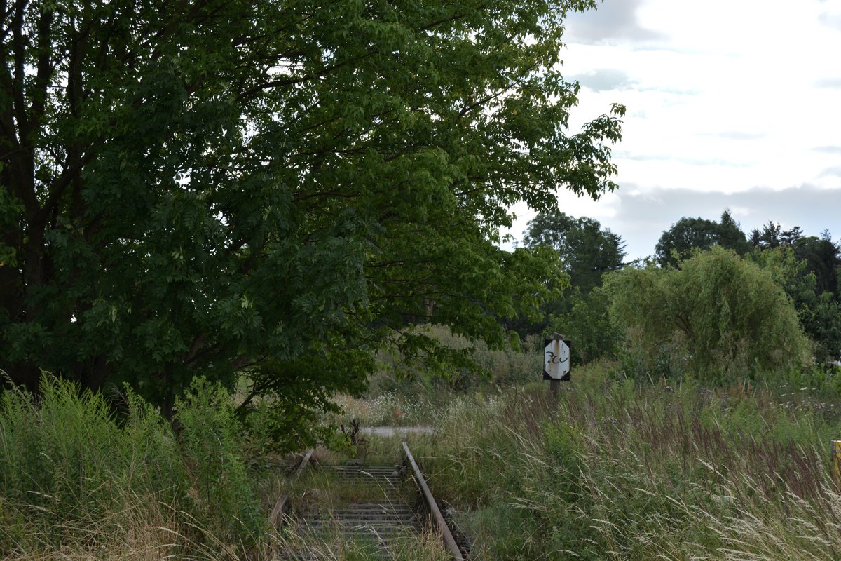 Hinter der A10 und dem Umspannwerk ist der Verlauf der alten Altlandsberger Kleinbahn Strecke wieder gut zu verfolgen. Von hier aus ist es nicht mehr weit bis Hoppegarten. 

Neuenhagen bei Berlin 19.07.2016