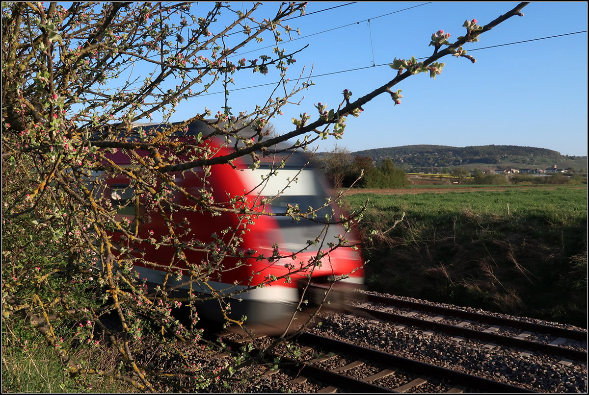 Hinter dem blühenden Apfelbaum -

... saust ein S-Bahnzug auf der Linie S2 daher. Aufgenommen an der Remsbahn zwischen Endersbach und Rommelshausen.

14.04.2020 (M)