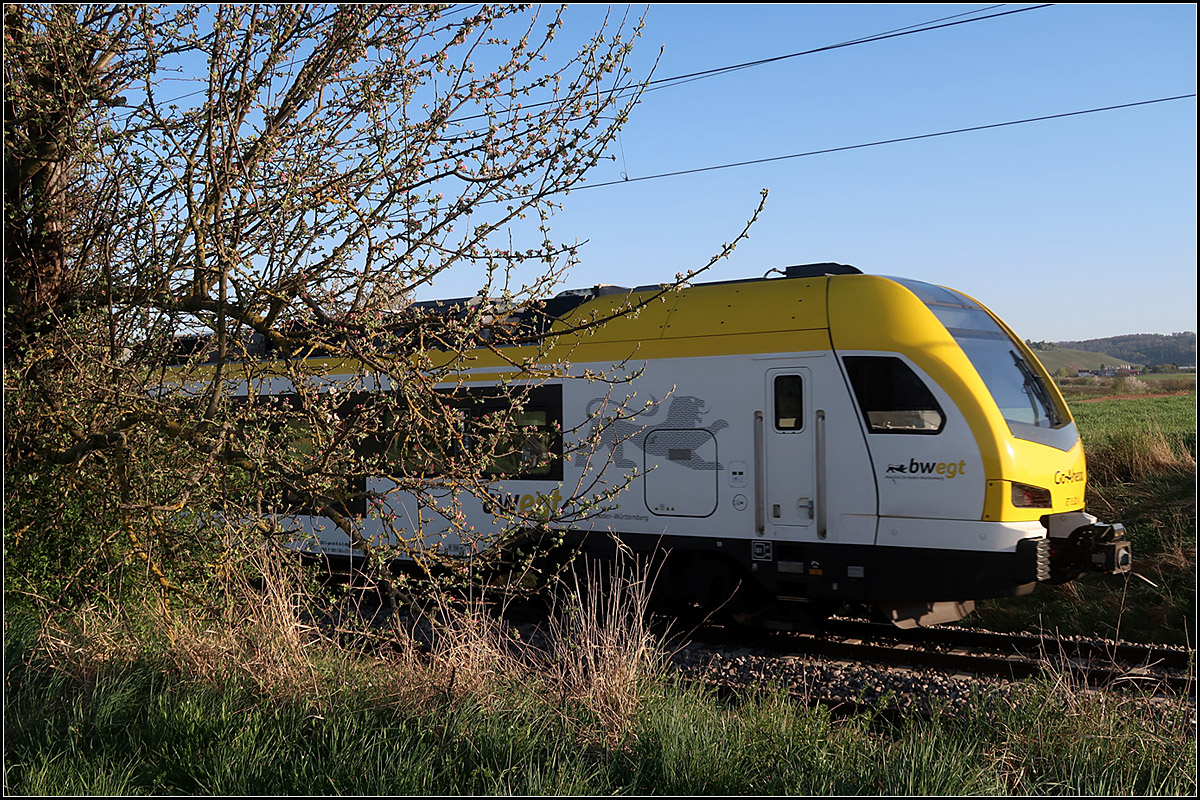 Hinter dem blühenden Apfelbaum -

Das Heck des Flirt 3-Triebzuges wird von der schon recht tief stehenden Sonne bestrahlt, als dieser auf seiner Fahrt das Remstal hinauf diese Stelle zwischen Rommelshausen und Endersbach passiert.

14.04.2020 (M)