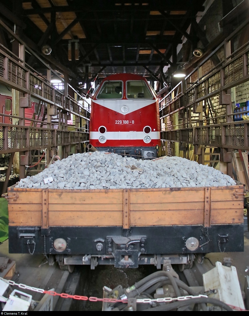 Hinter einem mit Schotter beladenen Wagen steht 229 188-8 DB anlässlich des Sommerfests unter dem Motto  Diesellokomotiven der ehemaligen DR  im Ringlokschuppen des DB Musems Halle (Saale).
[25.8.2018 | 12:52 Uhr]