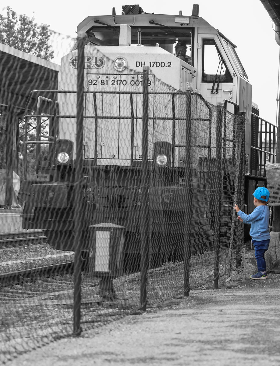 Hinter Gittern ,.... 

Gespannt beobachtet der Kleine Bub die Verschub-Bewegungen im Bahnhof Deutschlandsberg. 
DH1700.2 hat dazu noch einiges zu tun. 
29.06.2018 