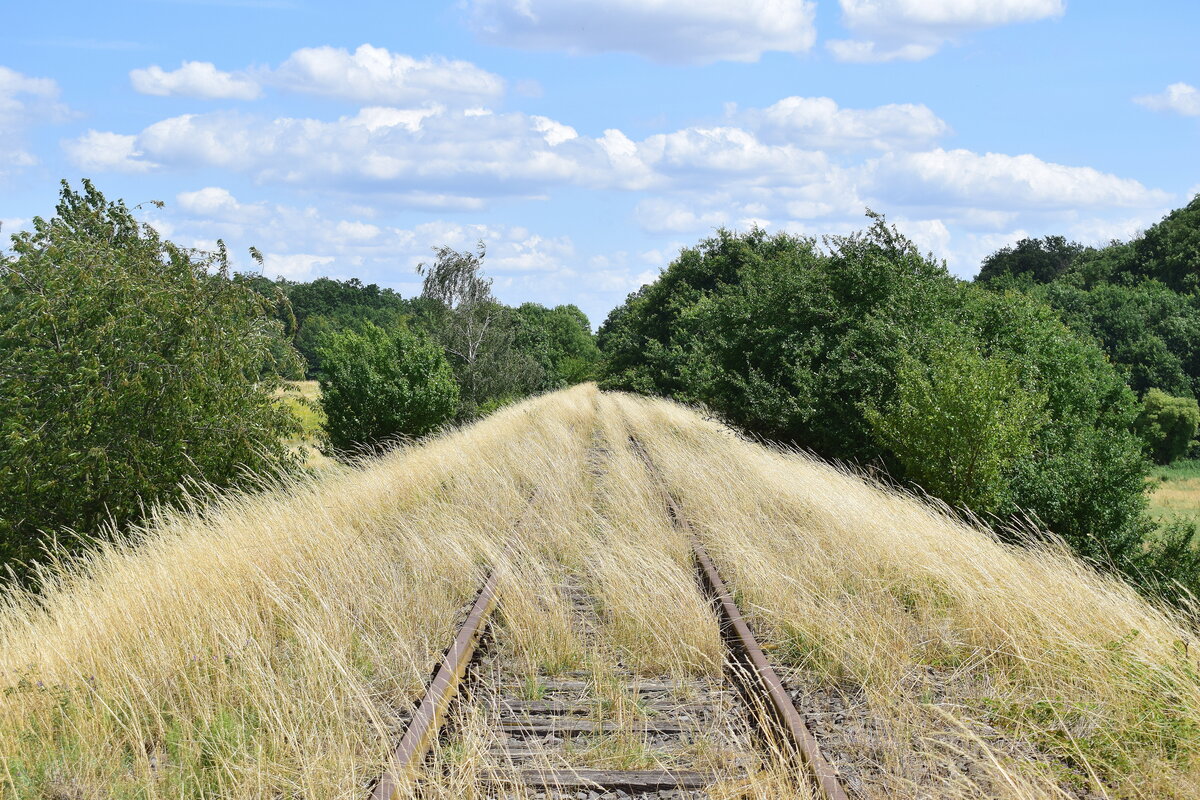 Hinter der Jeetzebrücke ist die Strecke noch recht frei von Bewuchs, lediglich Gras wächst über das Gleis. Der Zugverkehr endete hier 1980 aufgrund von Oberbaumängeln die nur noch eine Geschwindigkeit von 10km/h erlaubten. Blick Richtung Badel.

Salzwedel 16.07.2023
