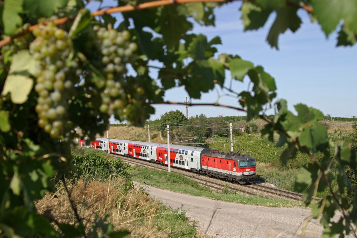 Hinter den sehr frühreifen Weintrauben fährt 1144.212 mit einen Reg. nach Wien am 26.8.15 bei Guntramsdorf.