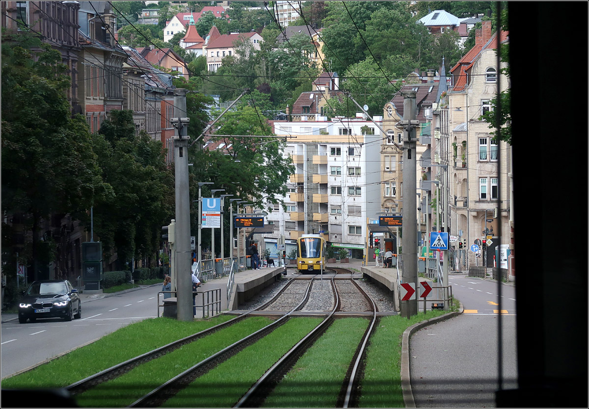 Hinunter in den Stuttgarter Talkessel - 

... mit einer Stadtbahn der Linie U6. Unterhalb der Haltestelle 'Bopser' fährt entgegen ursprünglicher Pläne in Mittellage der Hohenheimer Straße, einer vielbefahrenen Bundesstraße.

Hier erreicht die U6 gleich die Haltestelle 'Olgaeck', die ebenfalls in einem Gefälle von ca. 7 % liegt. Die massiven Betonoberleitungsmasten wirken fast wie ein Tor zur Haltestelle.

08.08.2021 (M)