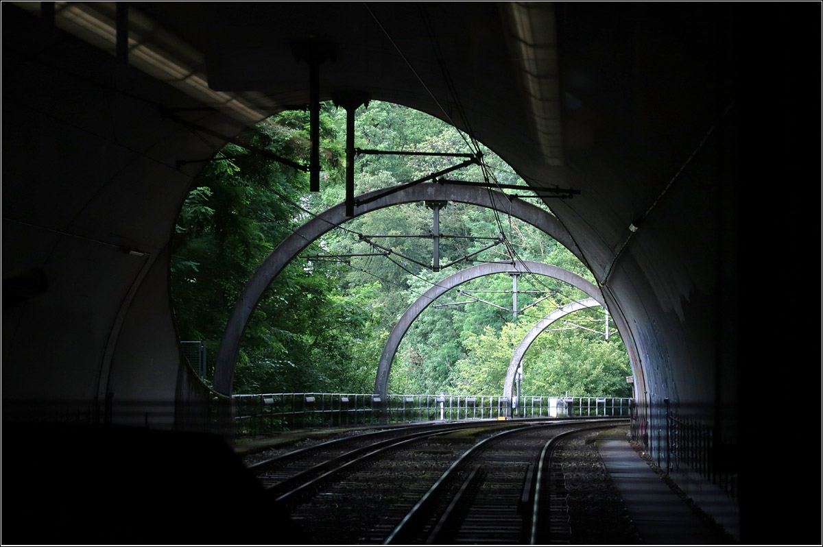 Hinunter in den Stuttgarter Talkessel - 

... mit einer Stadtbahn der Linie U6. Von einem kurzen Tunnel führt die Strecke über eine Klinge mit wunderbarer Aussicht auf den Talkessel, um dann im Tunnel Weinsteige zu verschwinden. Der gesamte Tunnel, eröffnet 1987, hat ein Gefälle von 7%. Charakteristisch sind die Betonbögen, die den Tunnelquerschnitt nachzeichnen, an denen die Fahrleitung aufgehängt sind.

08.08.2021 (M)