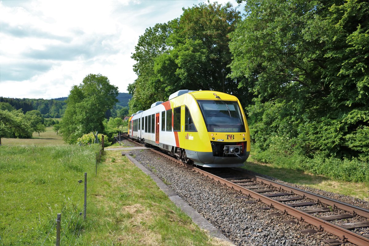HLB/TSB Alstom Lint 41 VT202 am 21.05.18 bei Königstein Schneidhain