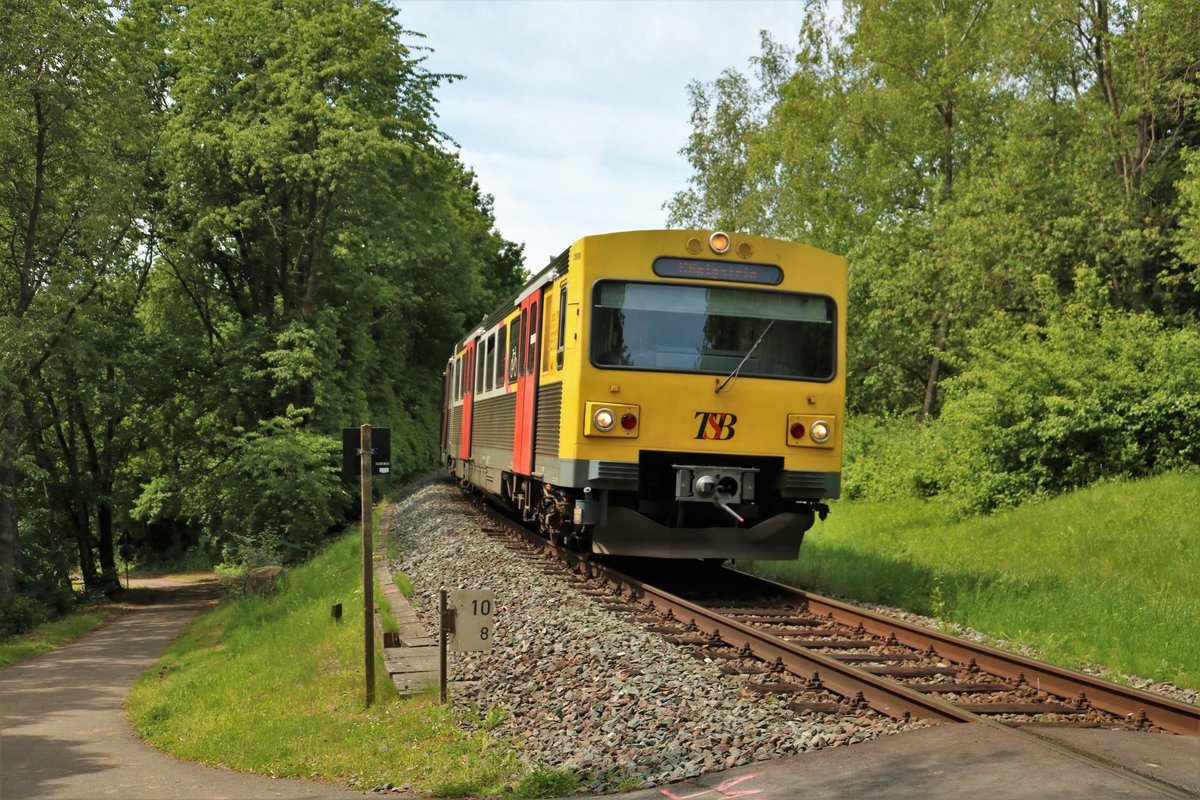 HLB/TSB VT2E am 11.06.19 bei Kelkheim im Wald 