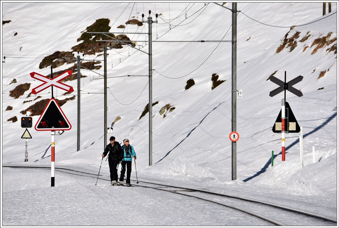 Höchstgelegener Bahnübergang der RhB bei Ospizio Bernina für Schneeschuhwanderer. (08.12.2016)