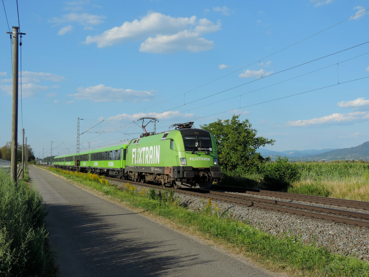 Hohberg - 12. August 2022 : Flixtrain 182 523 am FLX 1243 von Wiesbaden nach Basel.