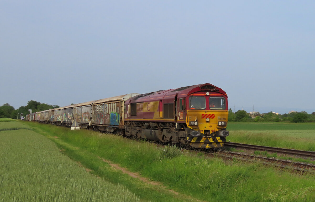 Holtzheim - 24. Mai 2026 :
Am letzten Wochenende hatte Captrain keine Lok zu verf�gung um die Brauerei Kronenbourg in Obernai zu bedienen.
Deshalb wurde bei DB Cargo France eine Class 66 gemietet.
Hier sieht mann die 66038 mit der �bergabe 402762 Hausbergen - Obernai.
