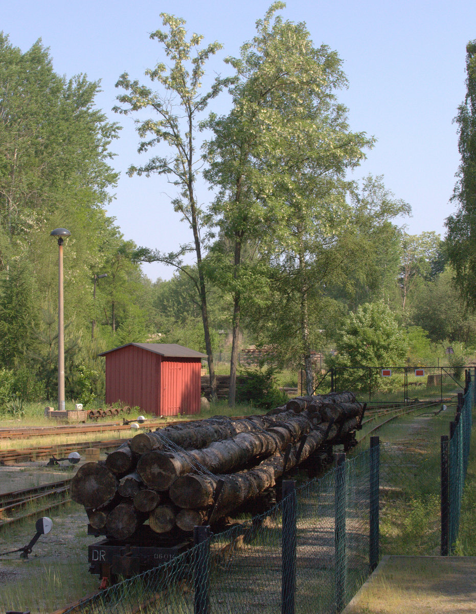 Holztransport, eine orginäre Aufgabe der Waldbahn Bad Muskau.30.05.2017 09:48 Uhr.
