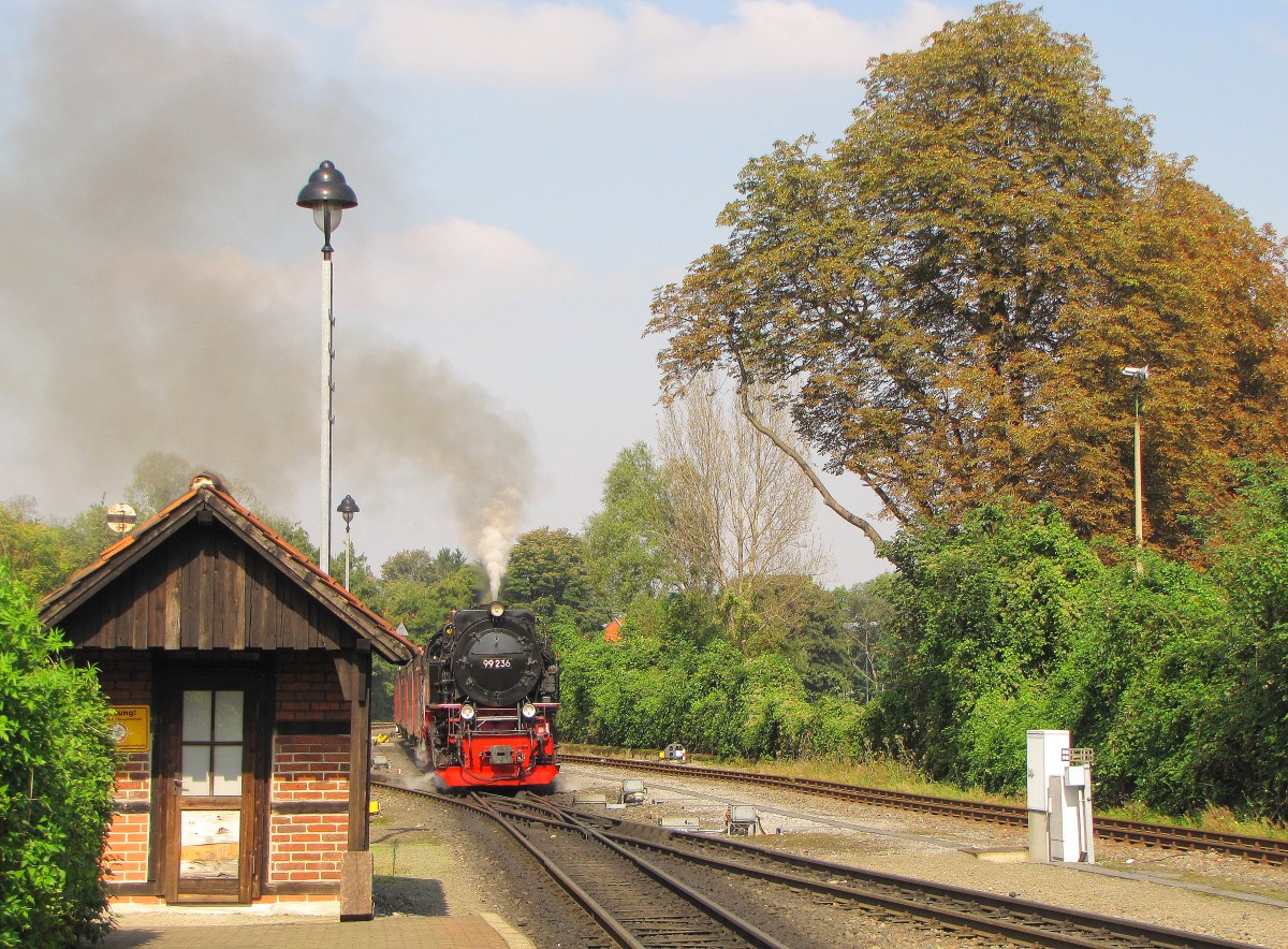 HSB 99 236 mit der HSB 8935 von Wernigerode zum Brocken, am 17.09.2014 in Wernigerode Westerntor.