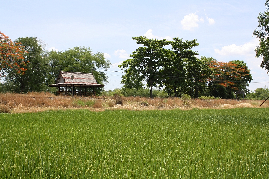 Hst. Phrong Akas am 29.Mai 2013.