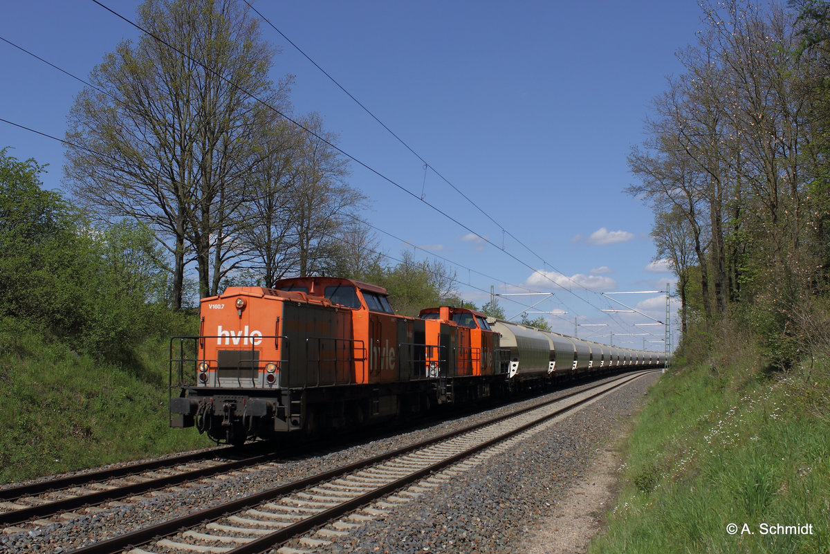 HVLE V100 Doppel mit Getreidezug von Neukieritzsch nach Landshut. Aufgenommen am 08.05.2016 bei Liebau/Pöhl