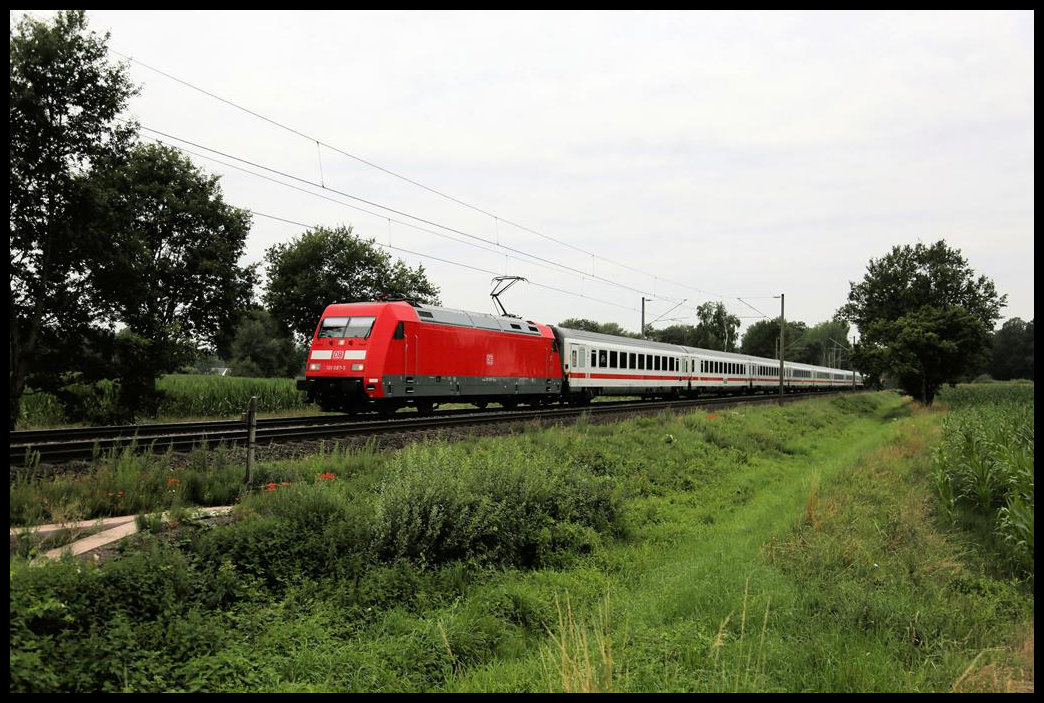 IC 245 ist hier bei Westerhausen am 21.7.2021 um 8.30 Uhr mit Zuglok 101087-5 auf dem Weg nach Berlin.