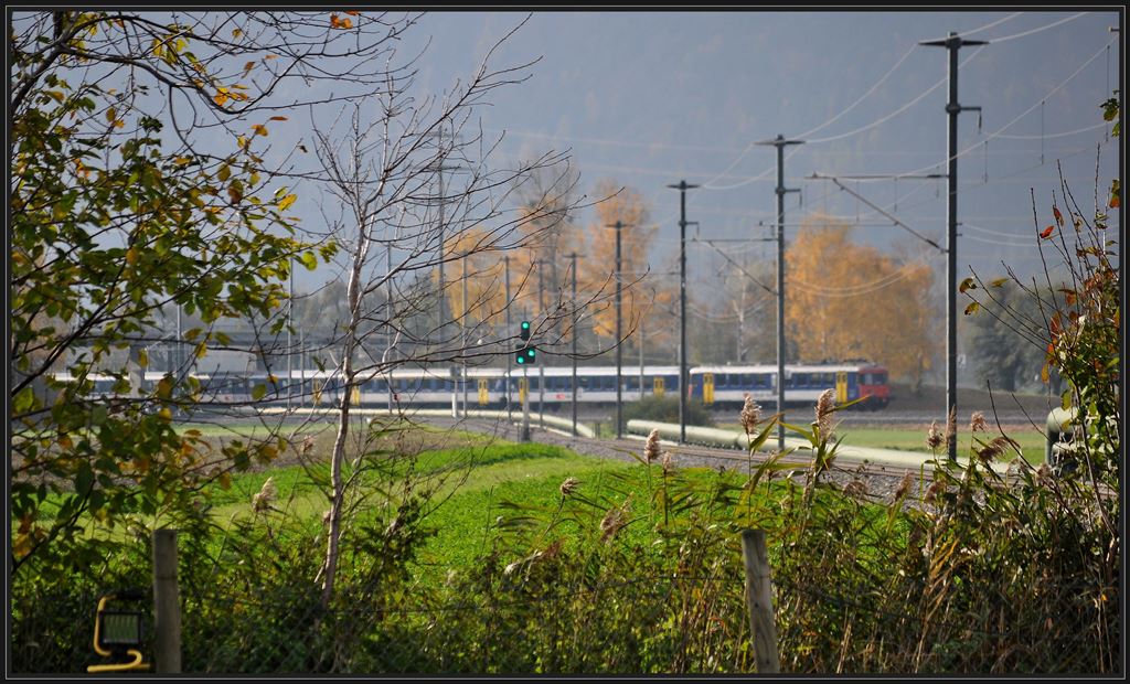 IC10765 zwischen Landquart und Zizers. Das frei Fahrt zeigende Signal gilt allerdings fr die RhB im Vordergrund. (15.11.2013)