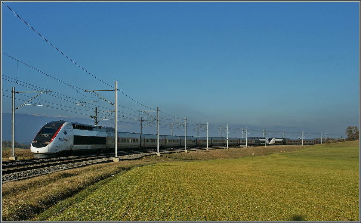 Ich hatte mich etwas verrechnet: Nicht nur war der TGV zu lang, sondern auch noch im Schatten, wozu die dunkle Farbe der Wagen zusätzlich wenig Freude bereitete...
TGV Lyria 9269 Paris (11.57) - Lausanne (15.37) kurz vor Arnex. Die ganz zu sehende Komposition 4401 wird um 18.24 als TGV Lyria 9272 Lausanne Richtung Paris verlassen, während die führende Kompostiton 4412 bereits nach 40 Minuten Wendezeit in Lausanne als TGV Lyria 9270 wieder nach Paris zurückfahren wird. 
31. Jan. 2014