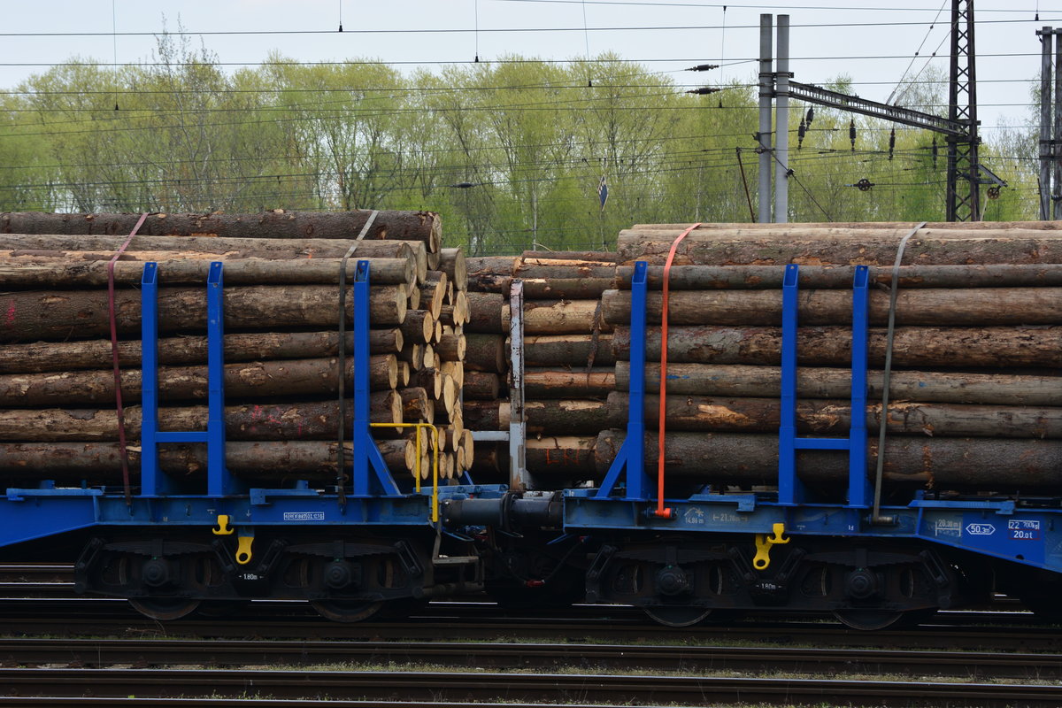 Ich und mein Holz. Cheb ist ein großer Knotenpunkt der Holzgüterzüge.

Cheb 15.04.2017