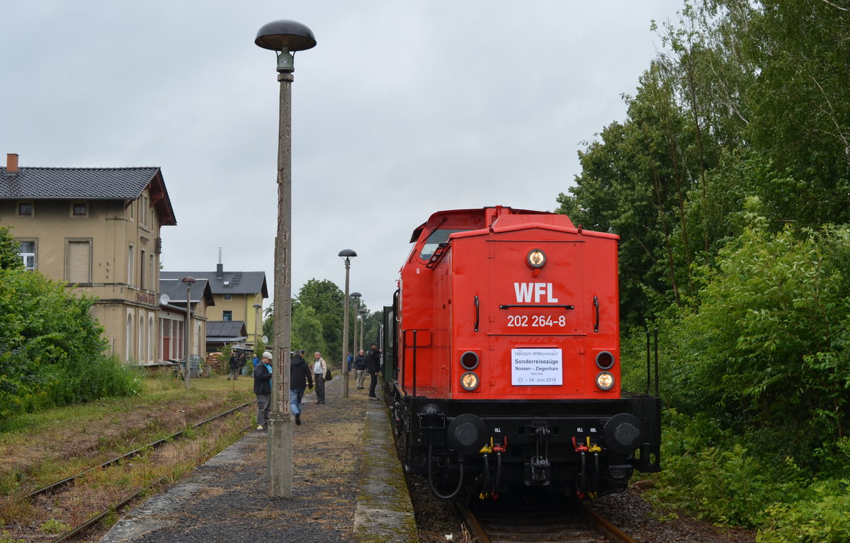 IG Dampflok Nossen e.V. Eisenbahnfest Sonderzug in Ziegenhain bei Nossen - 1. Personenzug Nossen - Ziegenhain nach über 20 Jahren  Strecke nach Riesa  mit 202 264-8 WFL - Wedler Franz Logistik GmbH & Co. KG 23.06.2018