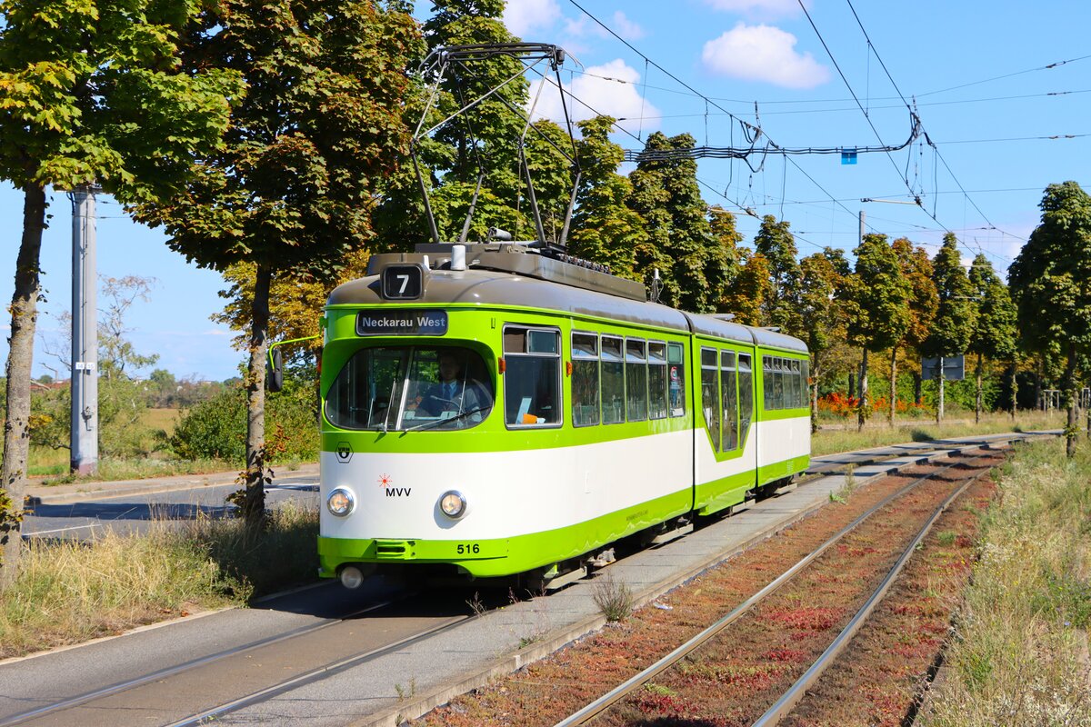 IGN Rhein Neckar Sonderfahrt mit dem Düwag GT8 516 in MVV Farben am 24.08.25 in Mannheim