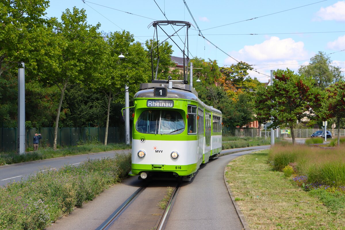 IGN Rhein Neckar Sonderfahrt mit dem Düwag GT8 516 in MVV Farben am 24.08.25 in Mannheim