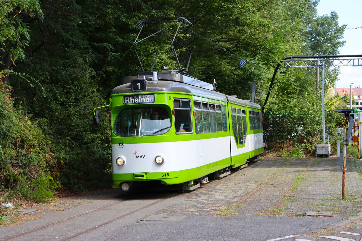 IGN Rhein Neckar Sonderfahrt mit dem Düwag GT8 516 in MVV Farben am 24.08.25 in Mannheim