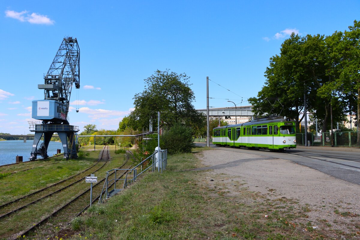IGN Rhein Neckar Sonderfahrt mit dem Düwag GT8 516 in MVV Farben am 24.08.25 in Mannheim