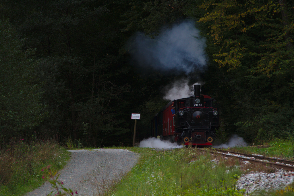 Im Abschnitt zwischen Preding-Wieselsdorf und Kraubath taucht die 298.56 gerade aus dem Schatten des Walds auf. (18.09.2013)