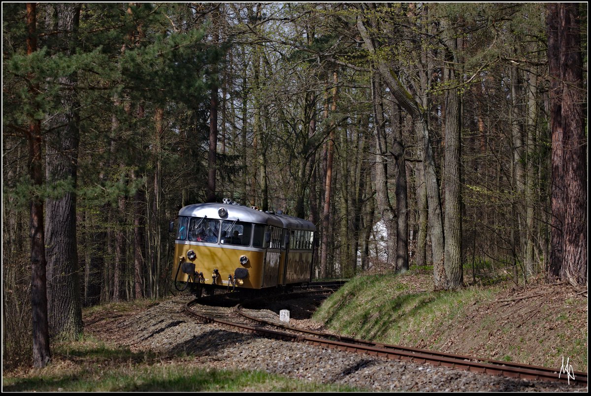Im April war der goldene Schienenbus an Wochenenden zwischen Retz und Drosendorf unterwegs. Hier der Zug ist der Zug beim Verlassen eines Waldstücks kurz nach Geras in Fahrtrichtung Retz. (15.04.2018)