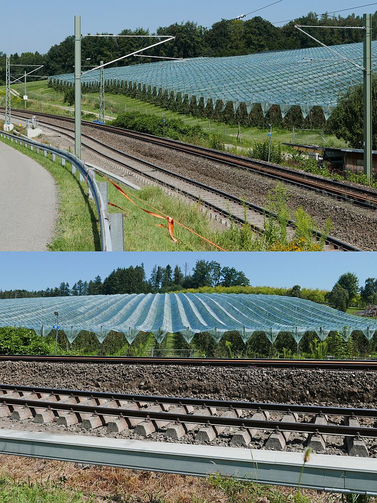 Im August 2020 wurde bereits das von Lindau in Richtung Hergatz führende rechte Gleis erneuert. Aufnahme vom 12.08.2020 bei Höhenreute.