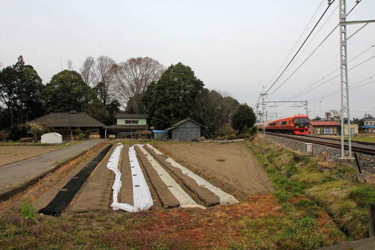 Im bäuerlichen Japan nördlich von Tokyo kommt der JR East Japan Zug 253-1002 auf den Gleisen des Tôbu-Konzern in Niregi vorbei. 30.März 2019 