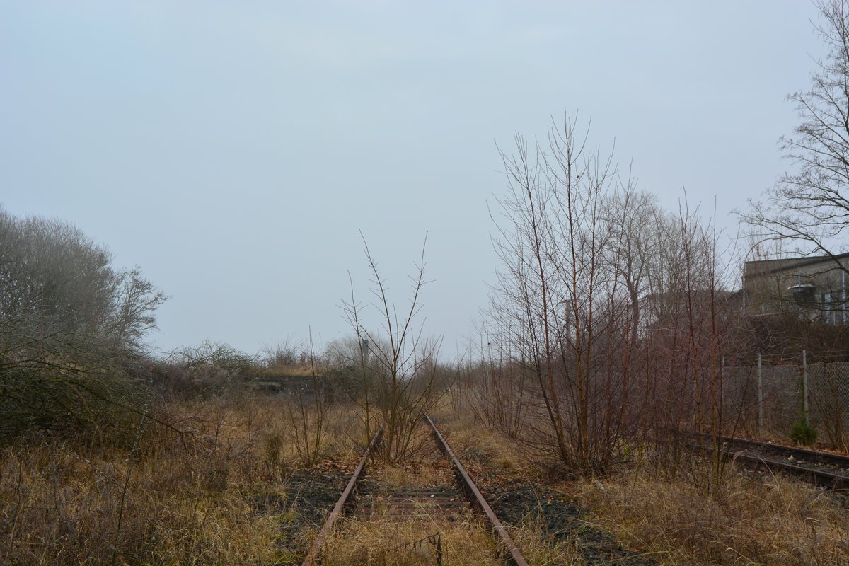 Im Bahnhof Höhn hat sich die Natur in den 18Jahren nahe zu alles zurück geholt, doch man arbeitet auch hier daran die Gleise wieder zu befreien um die Draisinenstrecke von Rennerod bis Westerburg zu verlängern. Hier wird es noch lange dauern da hier in den 18Jahren fast schon ein kleiner Wald entstanden ist. Blick in Richtung Fehl-Ritzhausen.

Höhn 17.12.2016
