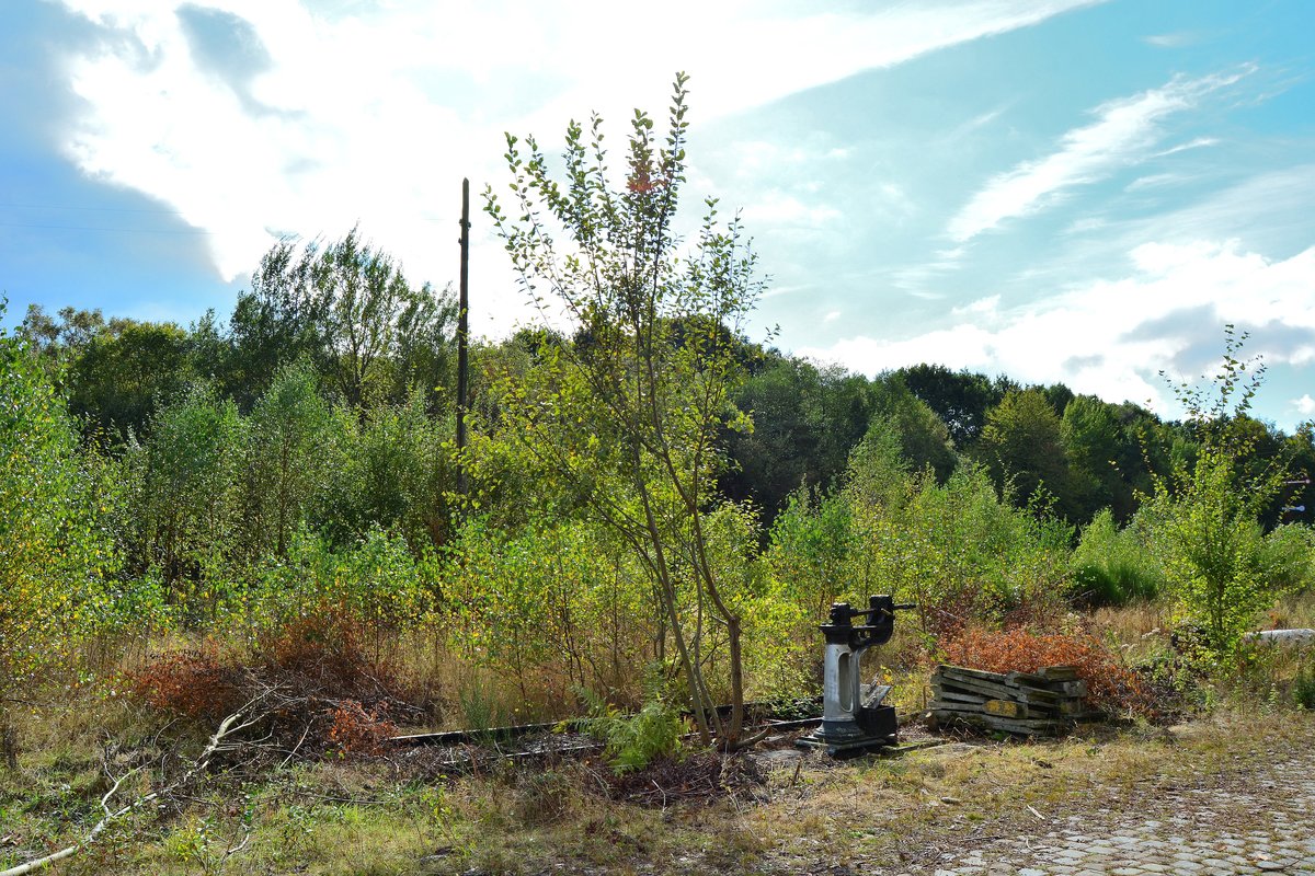 Im Bahnhof Raeren konnte ich auch diese alte Anlage finden. Unter dem Gleis befindet sich ein kleiner Graben. Leider war die Aufnahme nur mit Gegenlicht möglich.

Raeren 08.10.2016