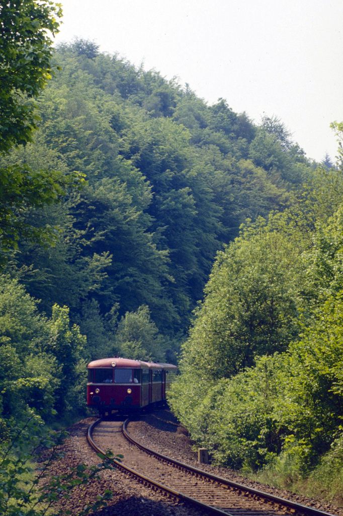 Im Brexbachtal nahe Bendorf-Sayn am 18.05.1989. (798 823)