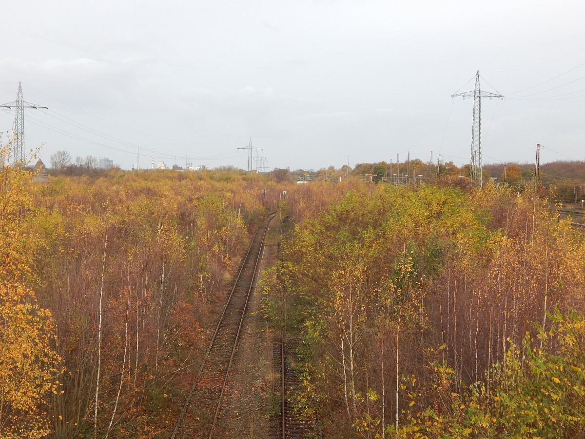 Im bunten Herbstwald auf dem ehemaligen BW Wedau sind die Gleise noch relativ frei. Und doch ist es schon über 11 Jahre her das hier ein Zug rollte. Die Hochspannungsmasten im Hintergrund wurden vor kurzem neu erbaut.

Duisburg Wedau 14.11.2015