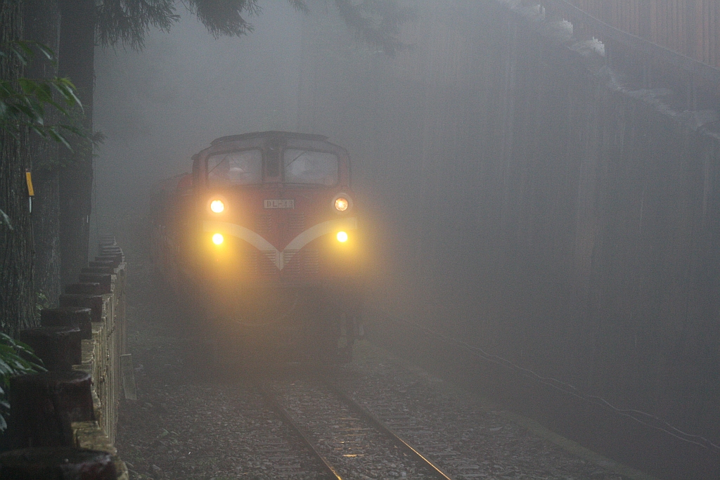 Im dichten Nebel fährt die AFR DL43 am 05.Juni 2014 mit Zug 113 von der Sacred Tree Station zu der Alishan Station.